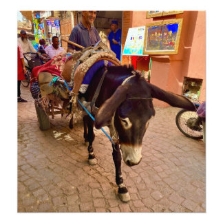 Foto Burro y carrito en la Medina - Marrakech, Marrueco