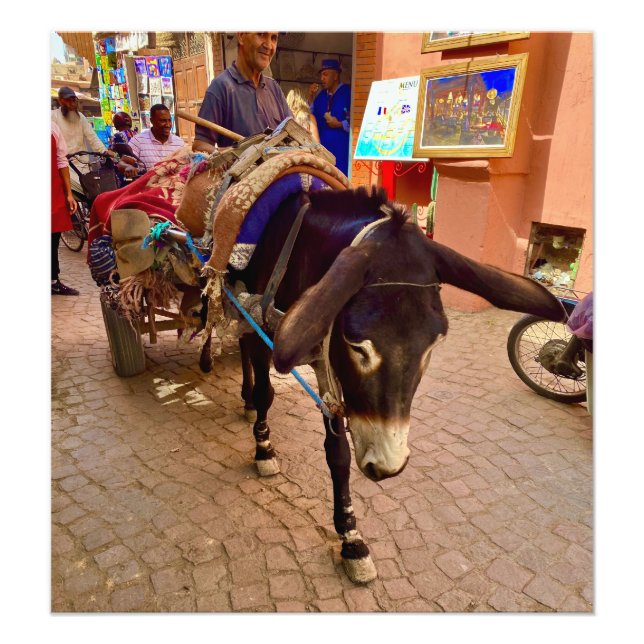 Foto Burro y carrito en la Medina - Marrakech, Marrueco (Frente)