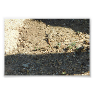 Foto Buscando tiempo de sueño