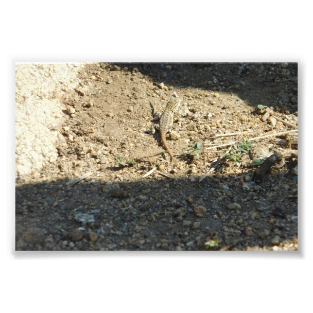 Foto Buscando tiempo de sueño (Frente)