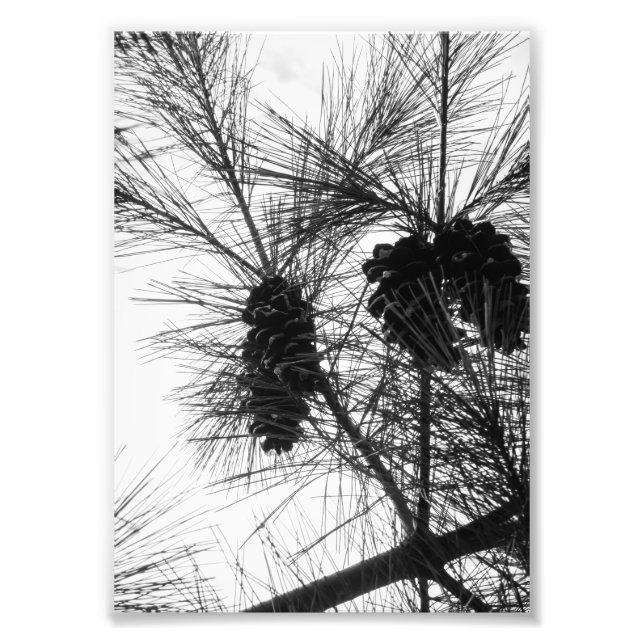 Foto Búsqueda hacia arriba (Frente)