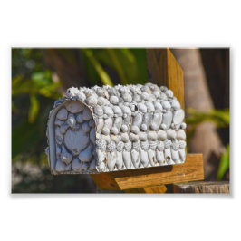 Foto Buzón Shell, Fort Myers Beach, Florida