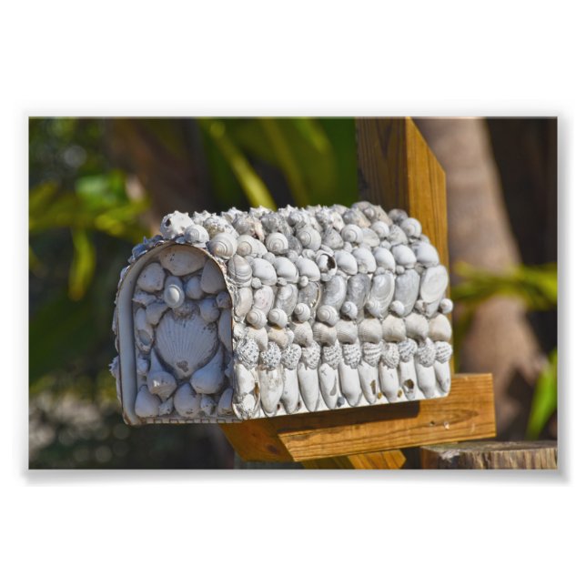 Foto Buzón Shell, Fort Myers Beach, Florida (Frente)