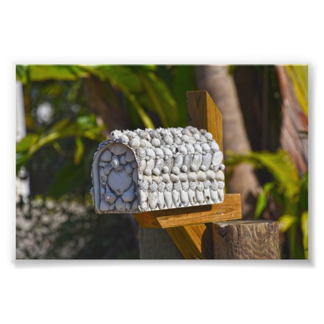 Foto Buzón Shell, Fort Myers Beach, Florida (Frente)