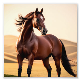 Foto Caballo americano