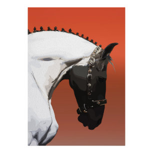 Foto Caballo Andaluz Elegante – Majestuoso Arte Ecuestr