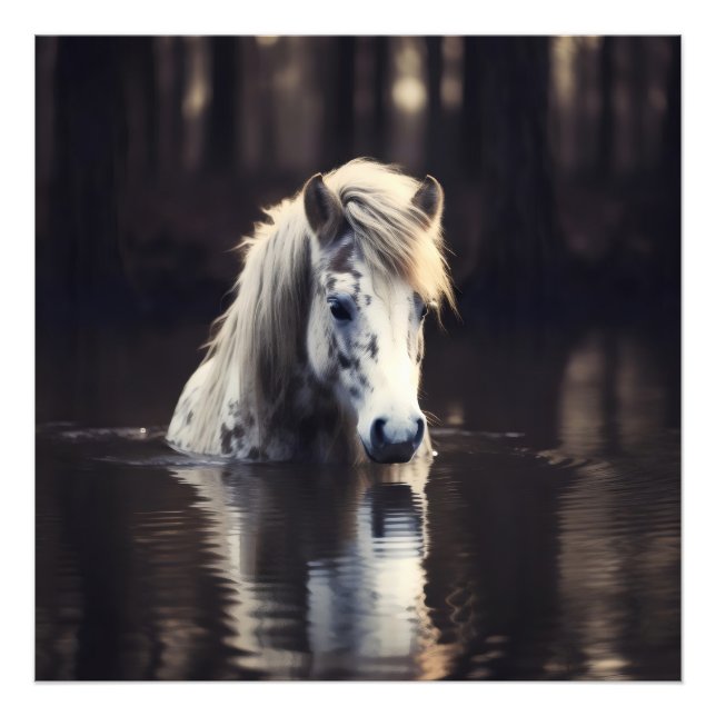 Foto Caballo blanco en el lago (Frente)