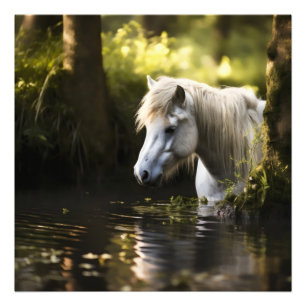 Foto Caballo blanco en estanque