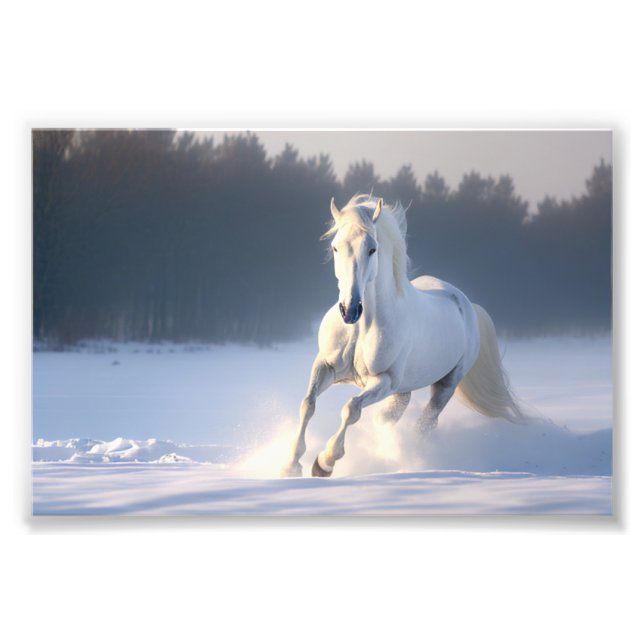 Foto Caballo blanco en nieve, caballos, invierno (Frente)