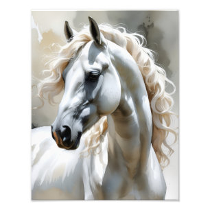 Foto Caballo blanco impreso en lámina