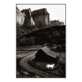 Foto Caballo blanco Monocromo Cañones - Impresión abier