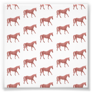 Foto Caballo Cuarto de Milla Americano Acuarela Ecuestr