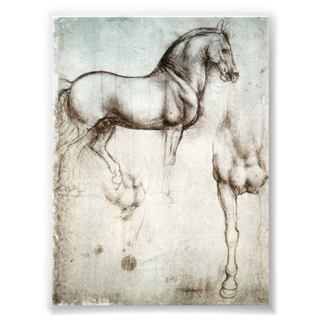 Foto Caballo Da Vinci (Frente)