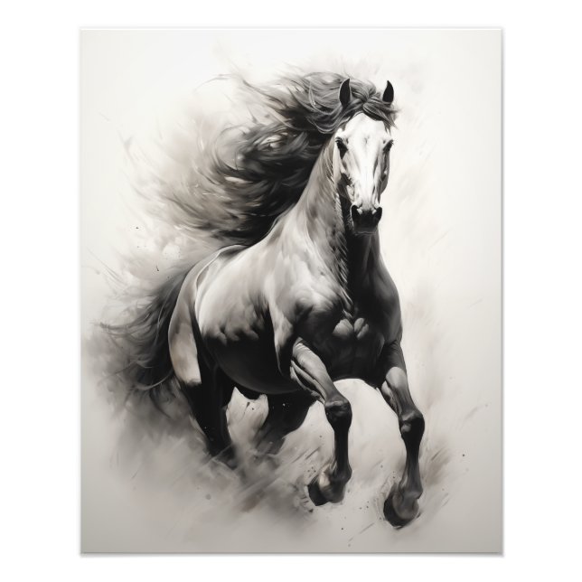 Foto Caballo de espíritu libre negro y blanco (Frente)