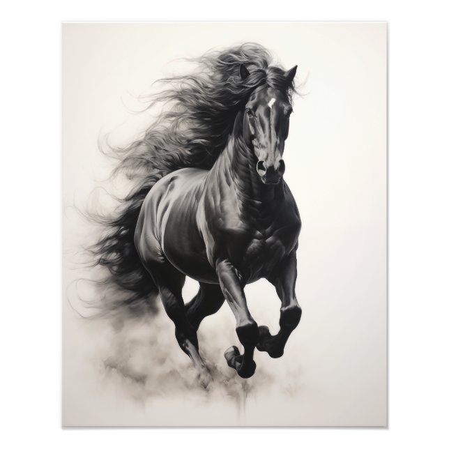 Foto Caballo de espíritu libre negro y blanco (Frente)