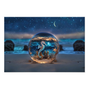 Foto Caballo de mar y Starfish Beach subacuático Nautic