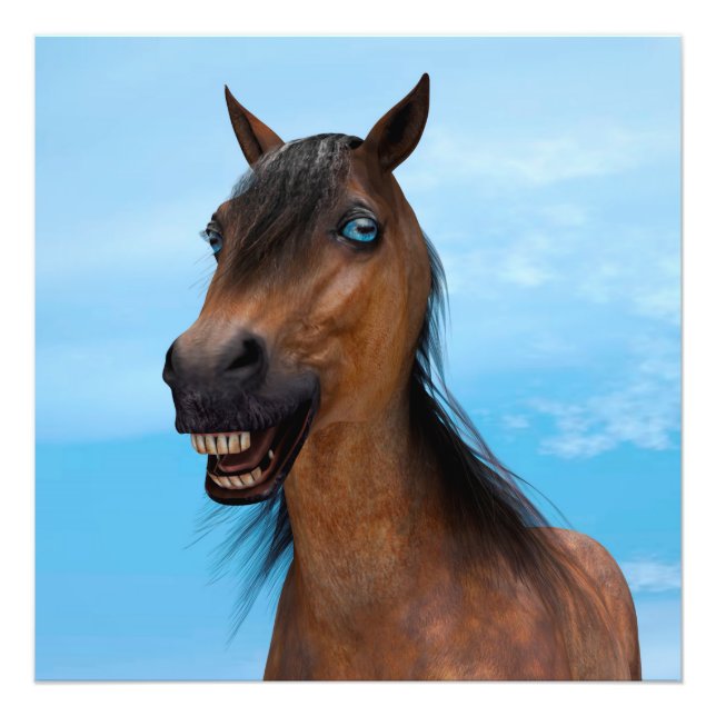 Foto Caballo Feliz (Frente)