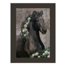Caballo Friesiano de Belleza Negra - Poster