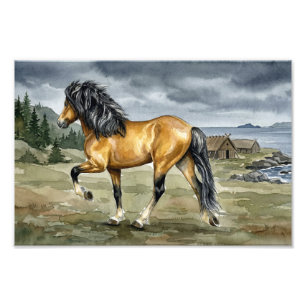 Foto Caballo islandés Stormur junto al mar