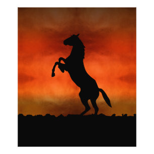 Foto Caballo Libre Al Atardecer
