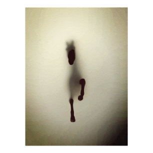 Foto Caballo minimalista abstracto emergiendo de la nie