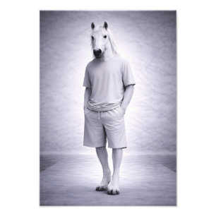 Foto Caballo Mínimo con Ropa Moderna Casual