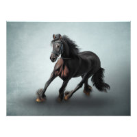 Caballo retrato dibujado