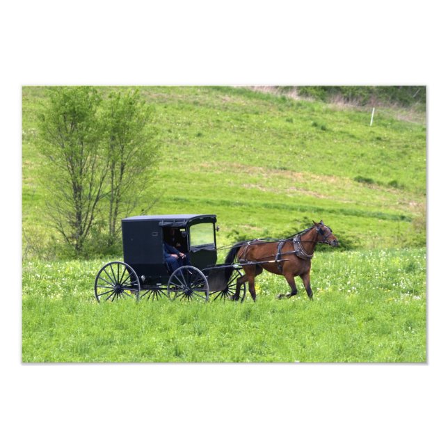 Foto Caballo y buggy Amish cerca de Berlín, Ohio. (Frente)