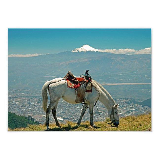 Foto Caballo y volcán, Quito, Ecuador (Frente)