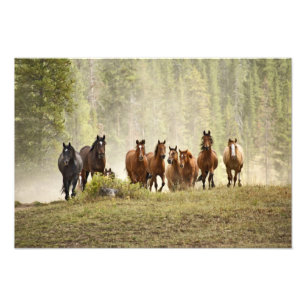 Foto Caballos coronando una pequeña colina durante la r