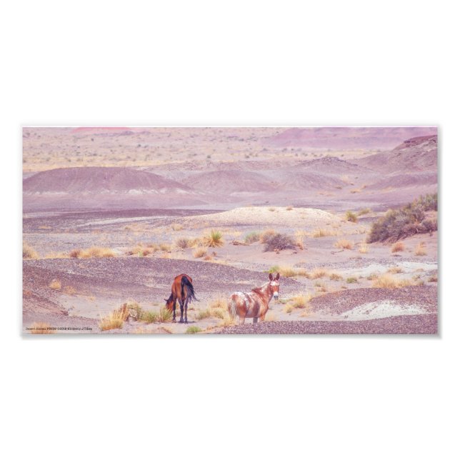 Foto Caballos de desierto P8639 (Frente)