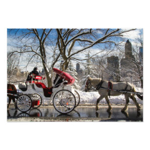 Foto Caballos de transporte de invierno en Central Park