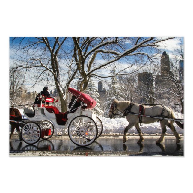 Foto Caballos de transporte de invierno en Central Park (Frente)