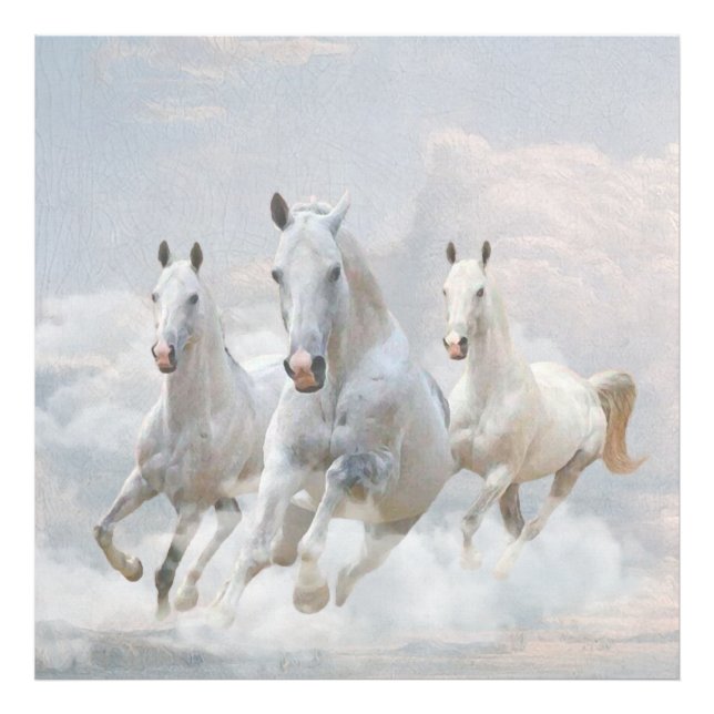 Foto Caballos en las nubes (Frente)