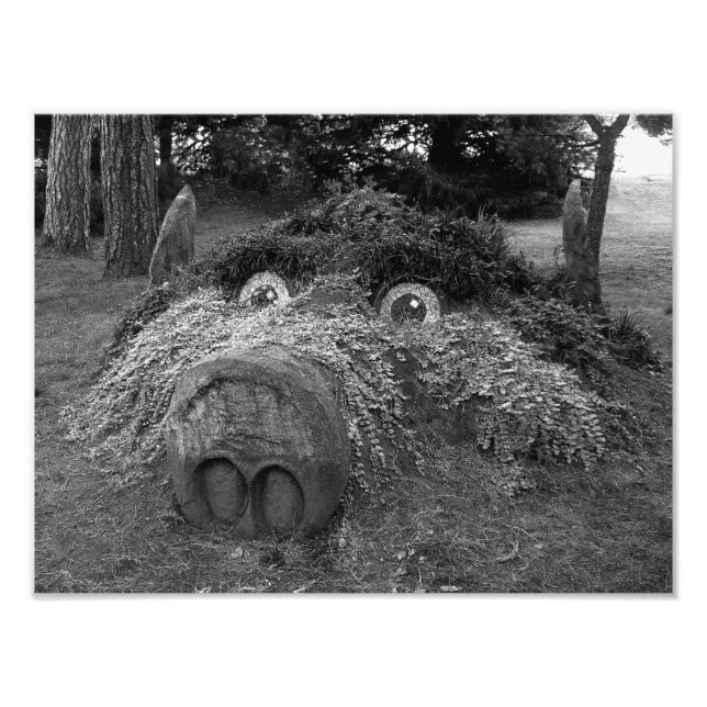 Foto Cabeza de Hogs, Parque Bute, Cardiff (Frente)