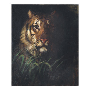 Foto Cabeza del tigre por Abbott Handerson Thayer