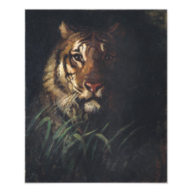 Foto Cabeza del tigre por Abbott Handerson Thayer (Frente)