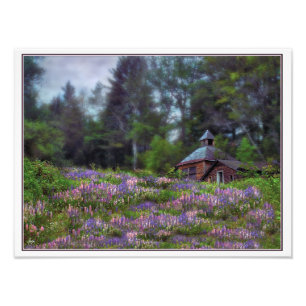 Foto Cabina en Lupine Digital Inicially Initially Open 