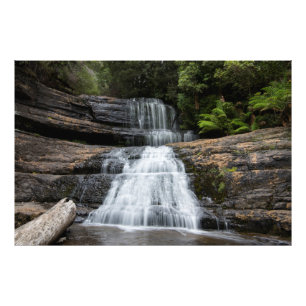 Foto Cacerolada de Tasmania