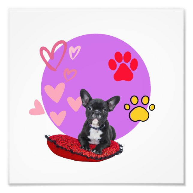 Foto Cachorro adorable de frenchie con corazones (Frente)
