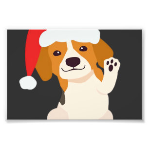Foto Cachorro Beagle con sombrero de Santa para amantes