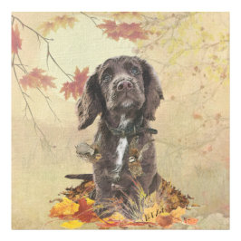 Foto cachorro de cocker spaniel de chocolate 
