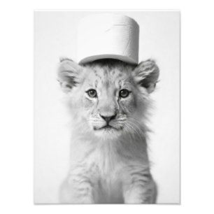 Foto Cachorro de León Divertido con Sombrero de Papel H