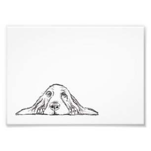 Foto cachorro de ojos de perro de raza basset hound neg