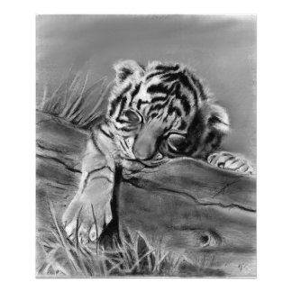 Foto Cachorro de Tigre Durmiendo