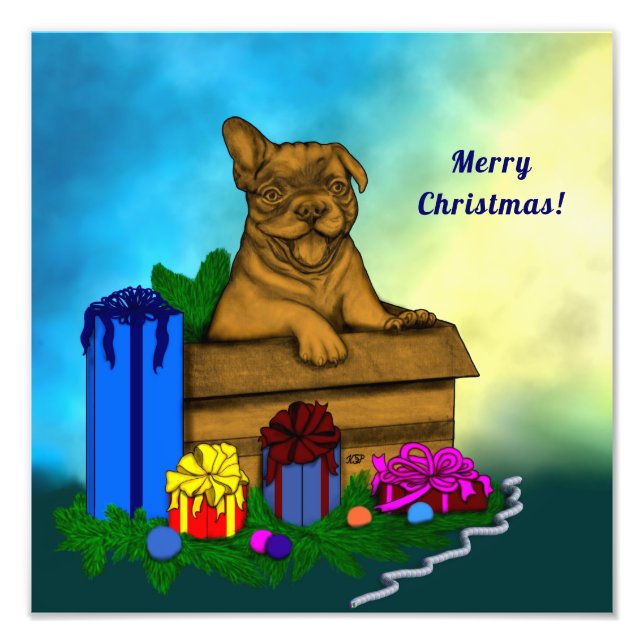 Foto Cachorro en una caja , Feliz Navidad (Frente)