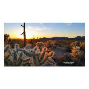 Foto Cactus con la superstición de la puesta de sol de 