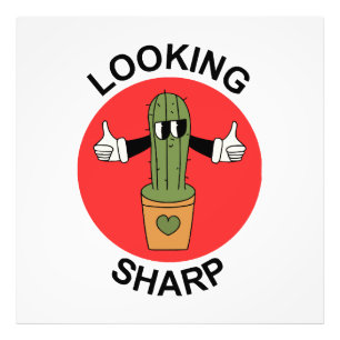 Foto Cactus de juego de palabras Looking Sharp