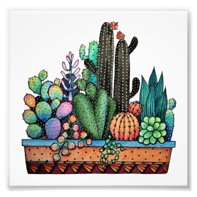 Foto Cactus Garden Cute Watercolor En Pot (Frente)