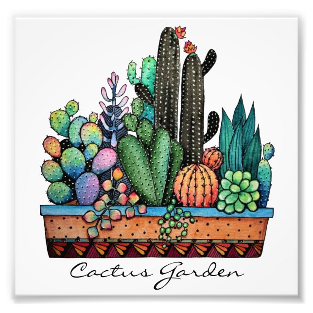 Foto Cactus Garden Cute Watercolor En Pot (Frente)